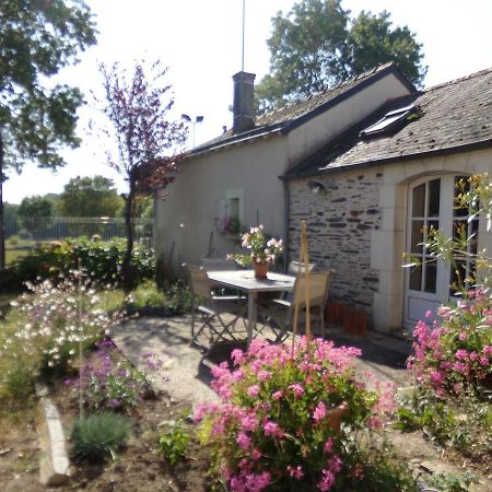 Gite De Bellerive Sainte-Gemme-sur-Loire Ngoại thất bức ảnh